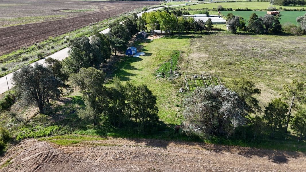 Sobre Camino KM103 - Miniatura 11