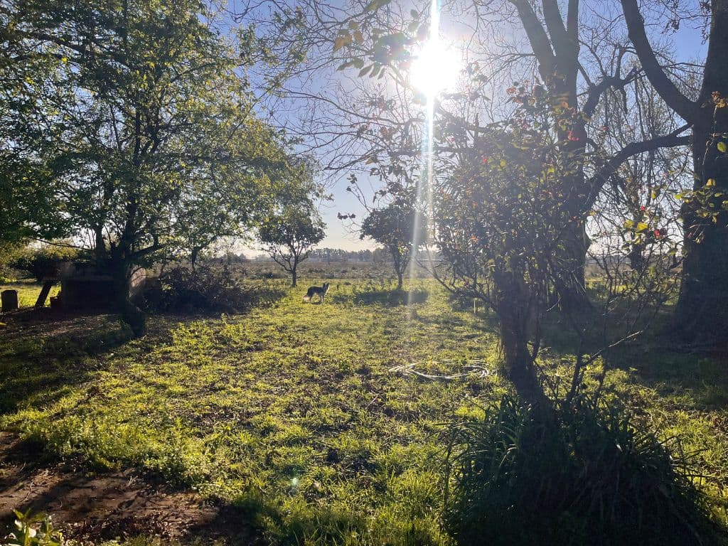 A metros del acceso a la Ciudad  - Miniatura 12