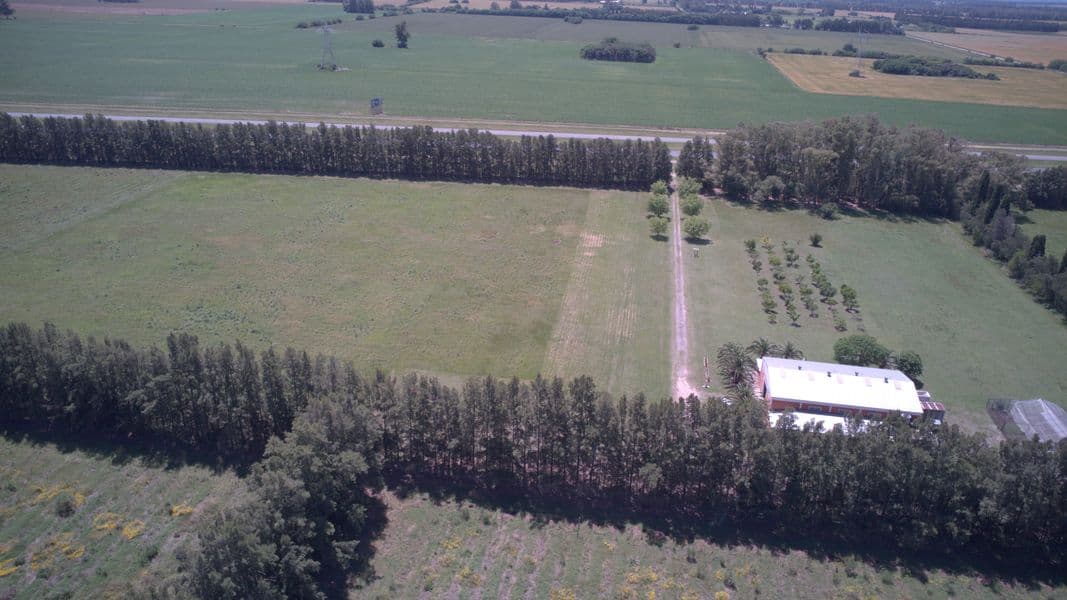 RN9  m 138 - Baradero - Miniatura 9