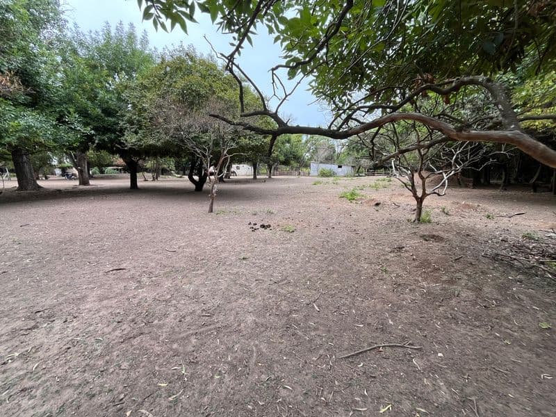 Camino Km 103 y RN9 - Lima - Miniatura 8