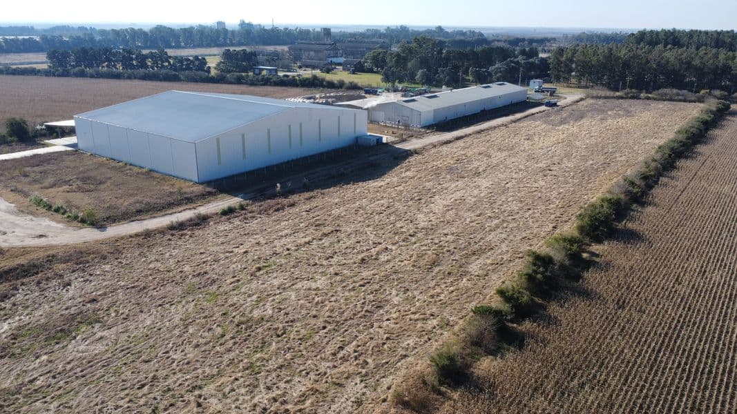 3 Lotes en Block Categoría II - Zárate