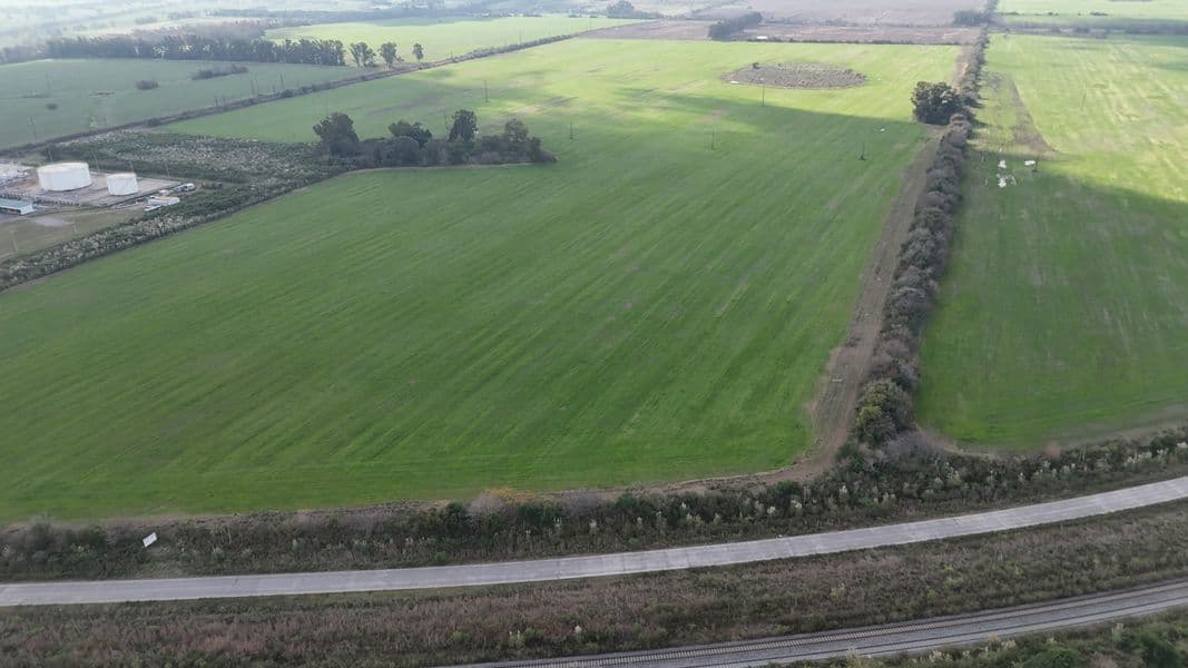 Sobre Camino 038 - Zárate - Miniatura 11